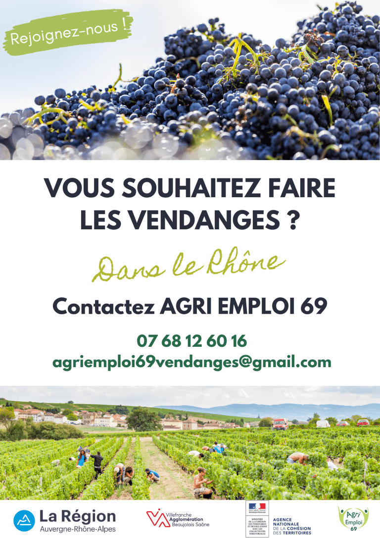 Affiche vendanges 2026